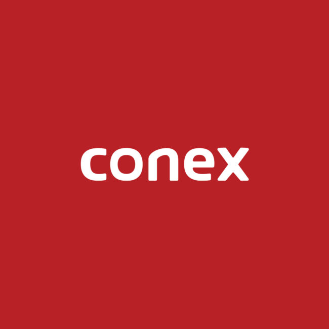 Conex Logo